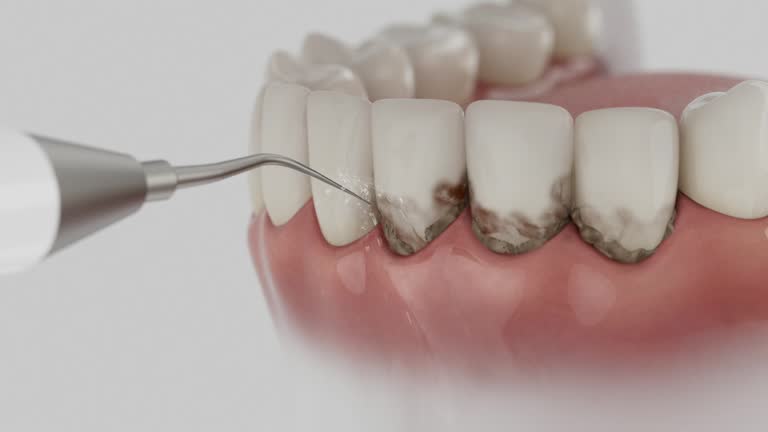 Reliable Dental contractor in Meade, KS by Dentist Open Now